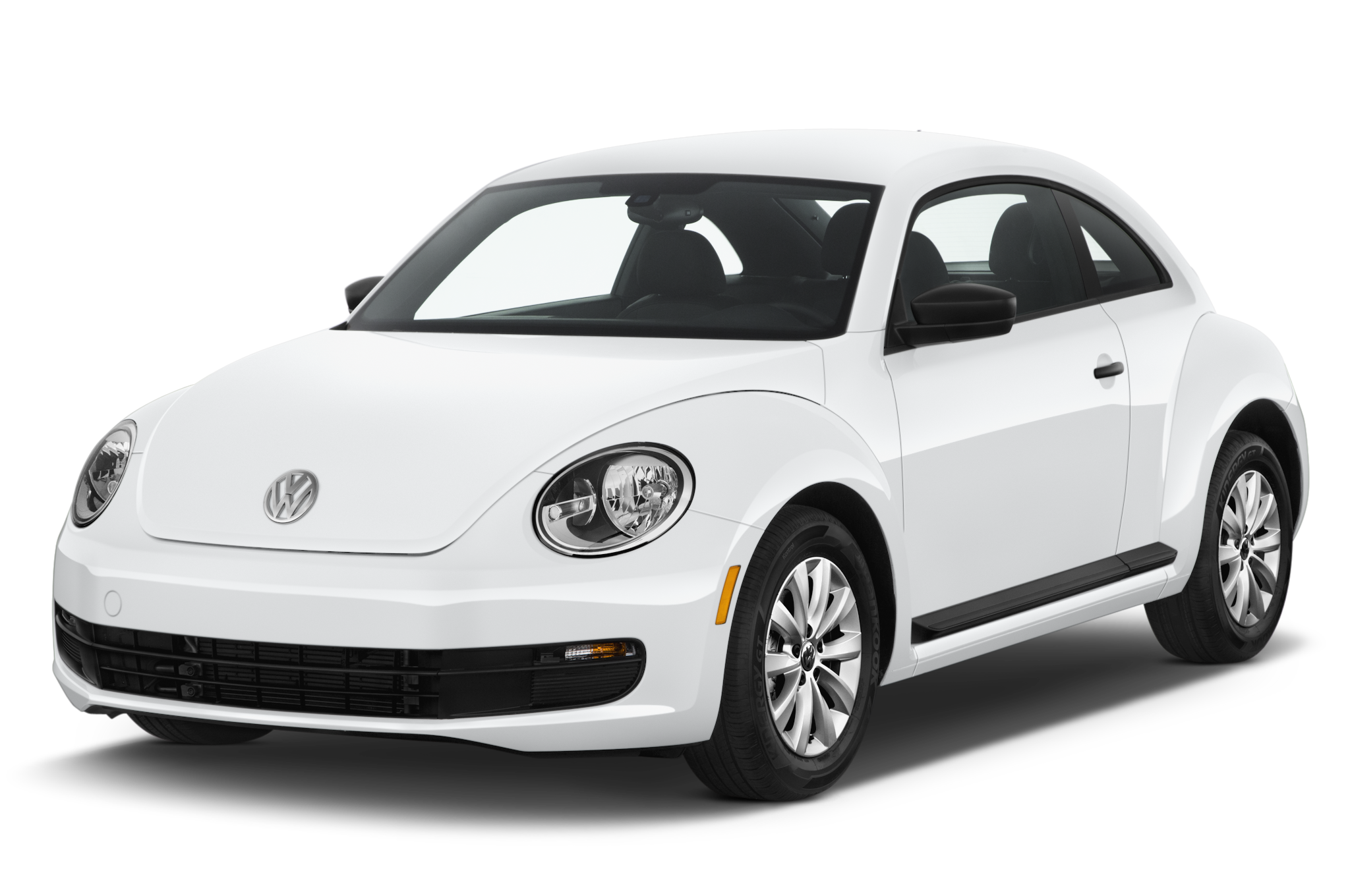 Beetle